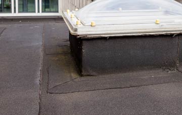 disadvantages of Newcastle Emlyn flat roofs